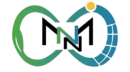 mnmnnenergy.com